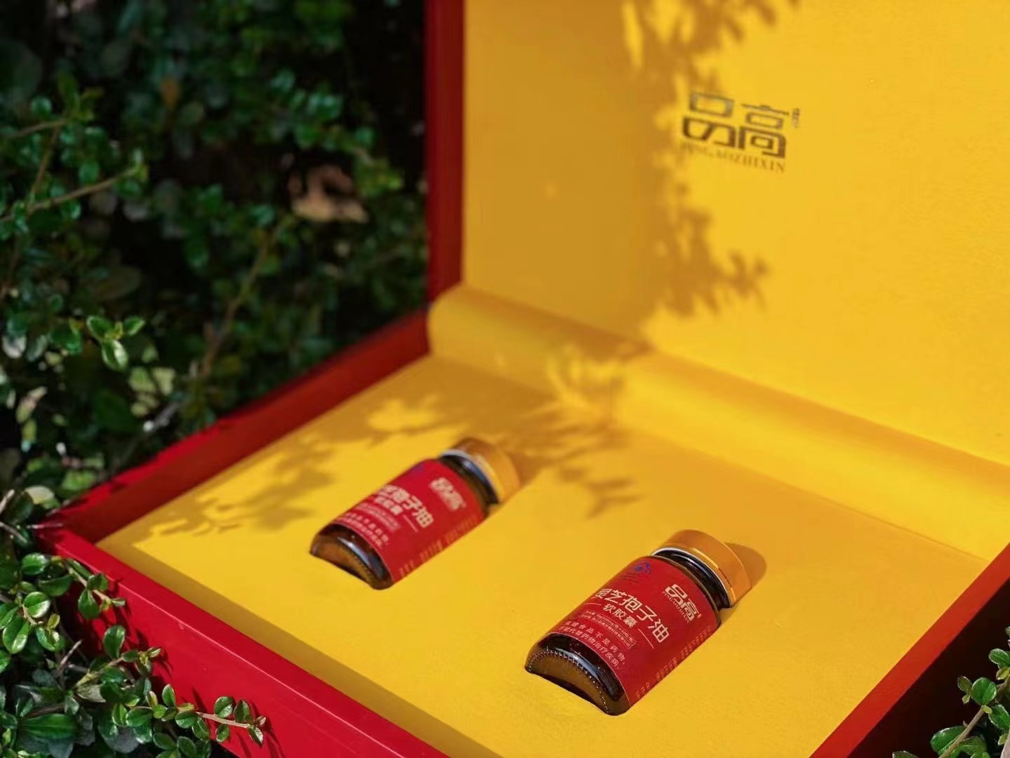 c392e1d33909fd0a10c943e4f229c3