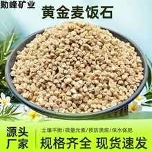 �S�����l�S��ܛ���ʯ�w���������Nֲ�����Gֲ�B����ܛ���ʯ