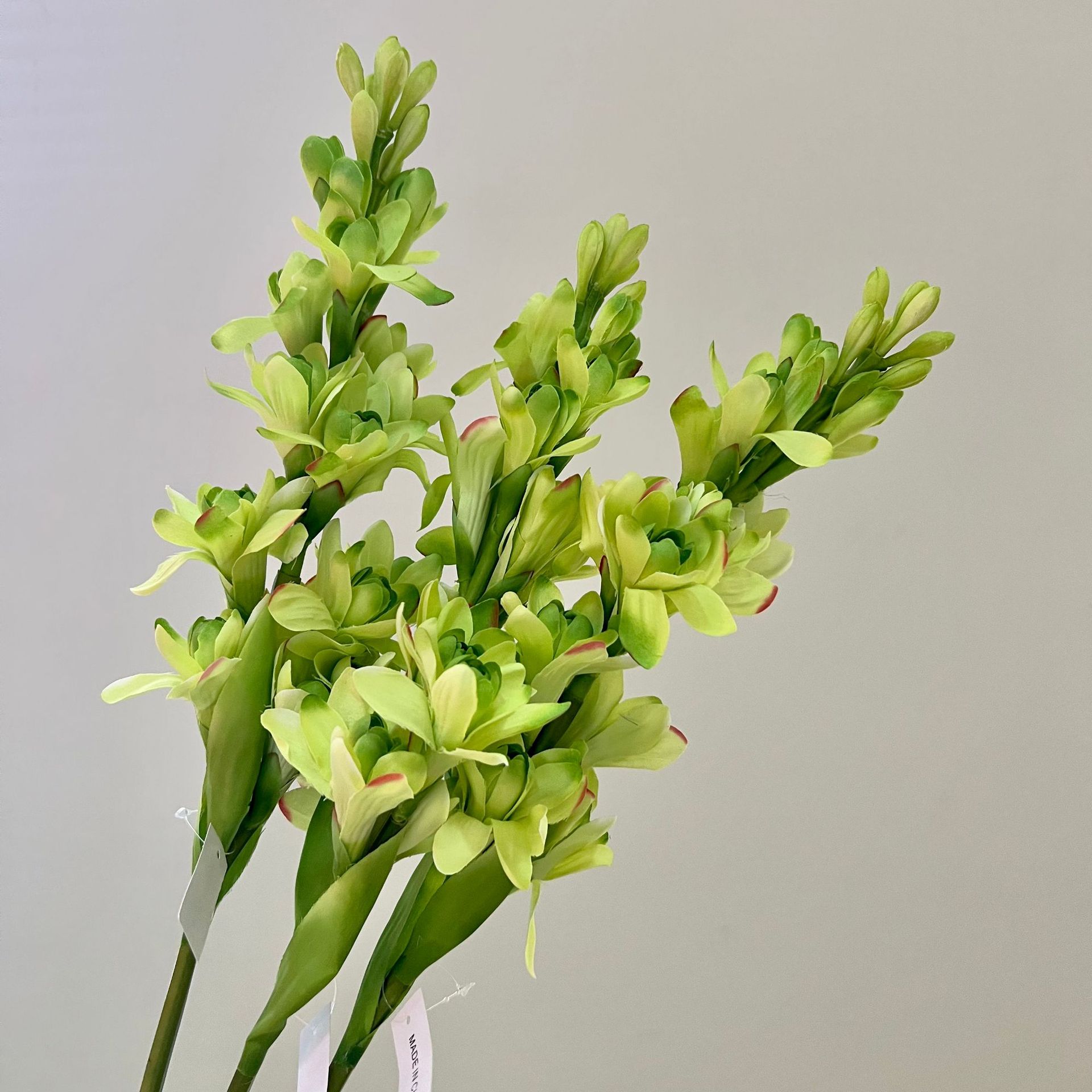 WeChat picture_20240613163342.jpg