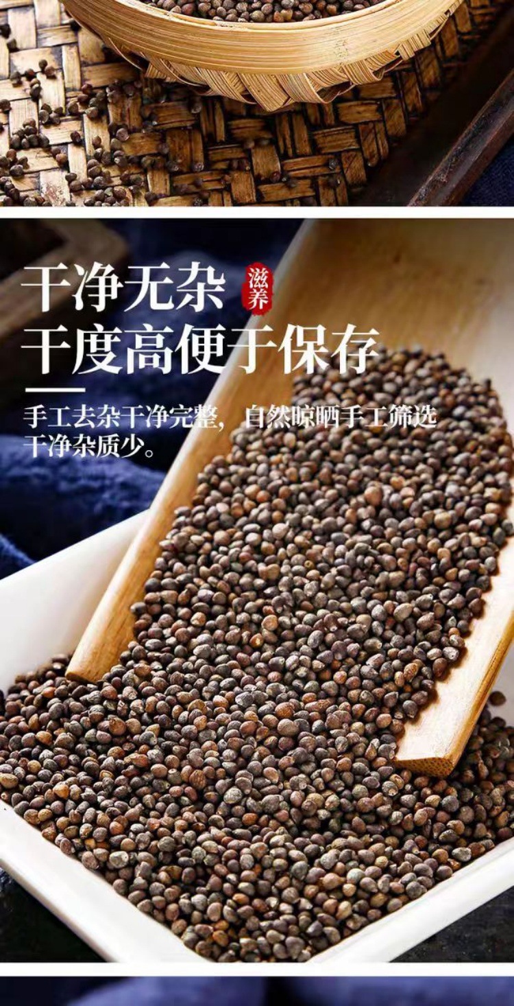 Zi Su Zi Powder (Perilla frutescens) — Roasted Perilla Seed Powder, 500g Food Herb quality and texture