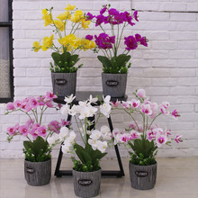 �羳�߷�������m�ٻ������҃ȼҾӔ[�O������ה[���͏d���ϻ���