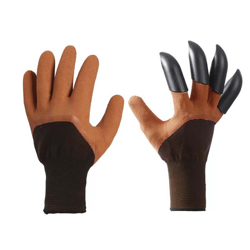 발톱이 있는 갈색 오른손