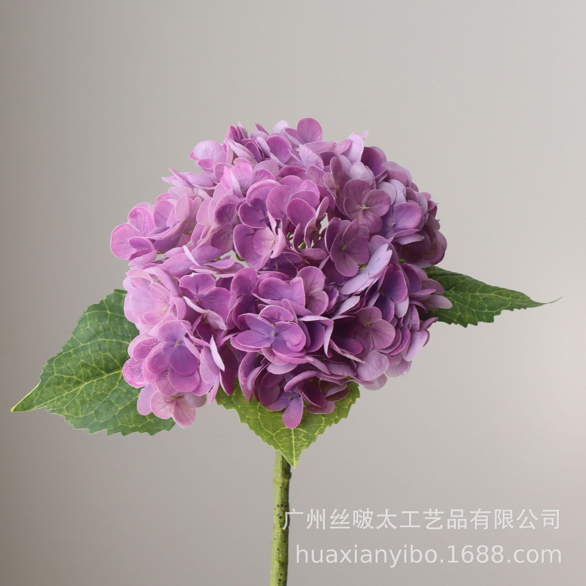 24 ans de nouvelle couleur-rouge violet