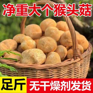 ����ɽ��ժ���r�Һ��^����؛���������r�۹���������a�Ҝ����|�