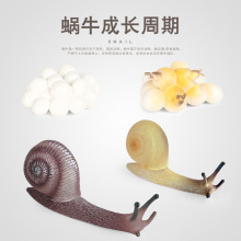 ���x����΁ţ֩������ϐ��������L�������Ͻ̾߿ƽ̔[��ģ�����Q