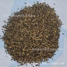 大叶菊苣草种籽多年生牧草种子养殖四季牛羊鸭鹅猪草种籽子多年生