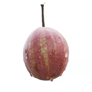 В этом сезоне радужная фруктовая груша Лишан Уэст, Шэньси Хонза хрустящая груша радужная груша