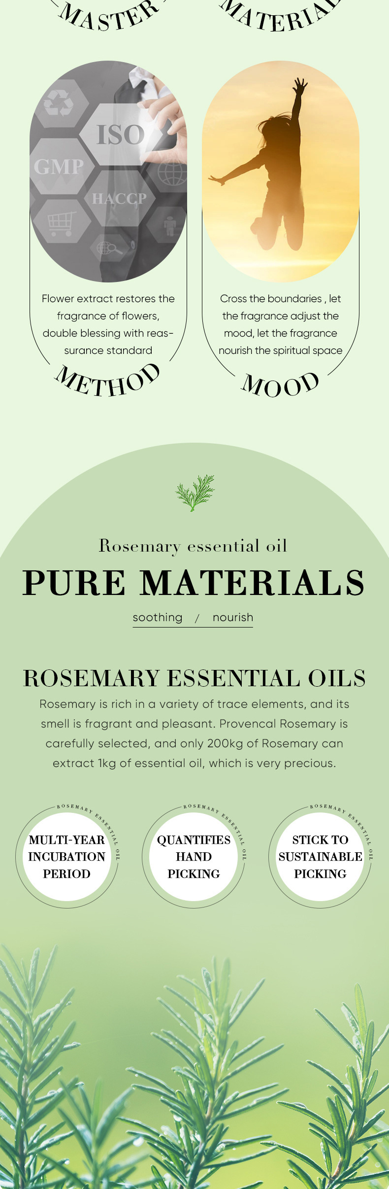 Essential Oil Vocabulary Words/Name Plant Personal Care Skin Care display picture 10