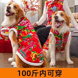 大狗狗衣服秋冬保暖东北大花棉袄边牧金毛大型犬新年衣服加厚防寒