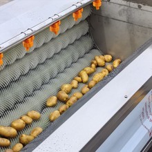供应红薯清洗机 土豆清洗设备 根茎类平行毛辊清洗机 食品机械