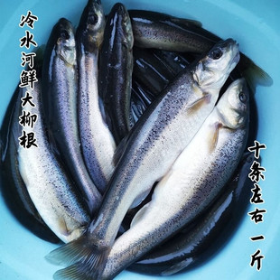 ʮ��𒡾��S���|����ˮ�����~�r��ˮ�aС�s�~�_���~���~���r���l