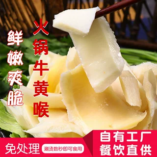 牛黄喉 生鲜火锅食材 去油免处理串串烧烤牛肉火锅牛心管商用批发