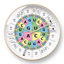 ����݆�P���R�����R�����Ȧ�Ԅӌ��r�R��������������o��늲��R