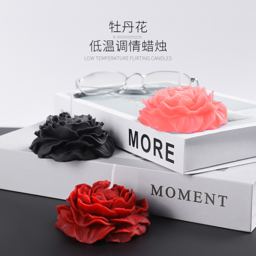 Sex toys sm low temperature candle couple flirting sex supplies props wholesale female slave training toys one piece drop shipping