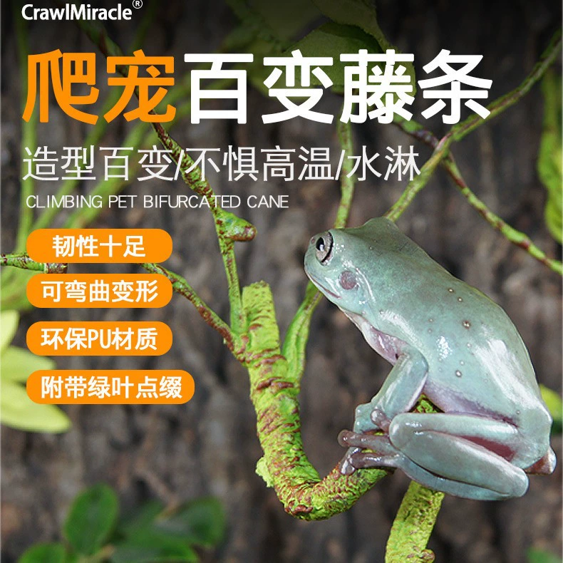 Альпинизм домашнее животное Вьющееся дерево тростник дерево лягушка медовая сумка землистая цилиарный Рог охрана дворец ящерица рептилия банка ландшафтный дизайн моделирование ротанг извилистая лоза листья