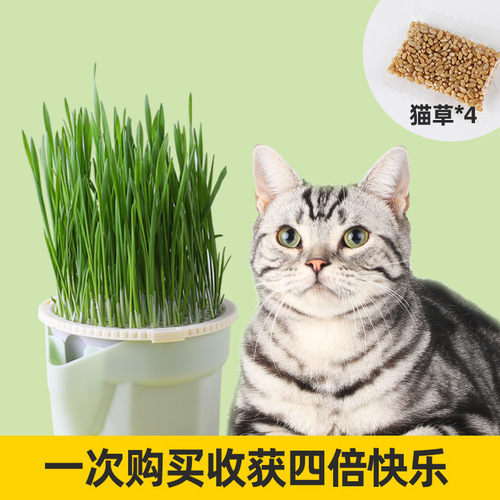 Sensen cat grass cup potted wheat rye nursery cup soilless water cultured dog grass kitten mint lazy self-sown