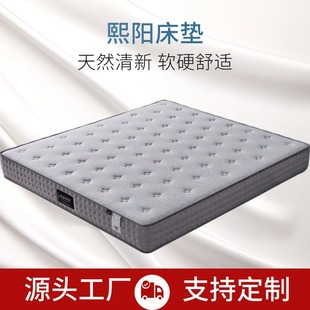 Spine Protection Mattress # High Carbon Whole Mesh Spring # Natural High Temperature Environmental Protection Brown Mat Layer # Anti-Static Antibacterial Anti-Mite Face
