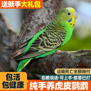 ���B�W�^���B���ﻢƤ�W�^С�B���B���W�fԒ���B��B����