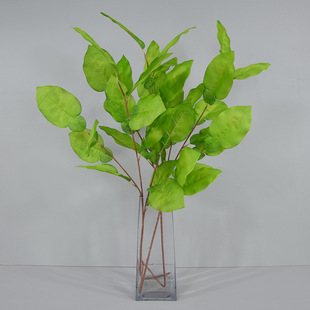 ����������~��֦���J�~�Ř��~����~��Y������픲���·���廨