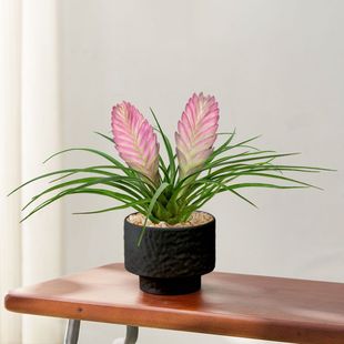 �F�m���Ԏ����l؛��ɫ�P�滨���҃�ֲ���k��������B�Gֲ�����՚�