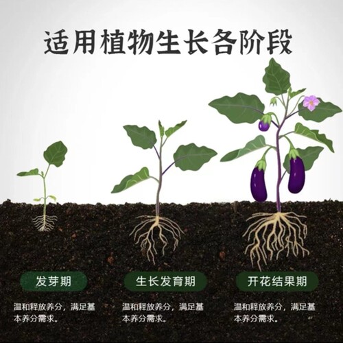 Plant Slow-Release Sticks Household Flower Fertilizer General Purpose Potted Plant Rod-like Flower Slow-Release Tablet Fertilizer Nutrient Sticks