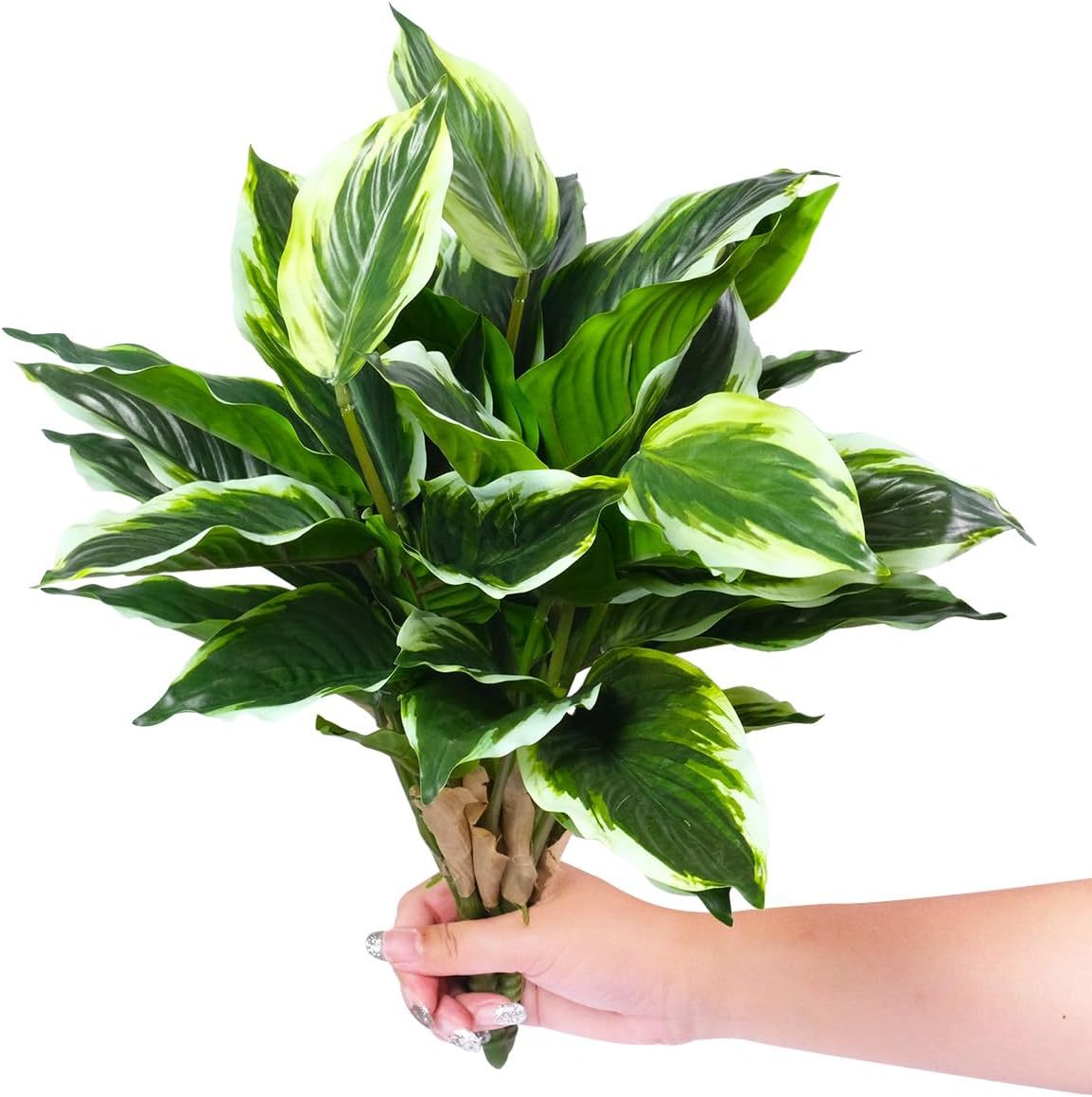 High-quality simulated plant 14-leaf flower spot Dieffenbachia small potted ornaments office decoration artificial green plants flowers 5