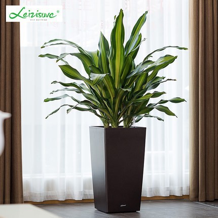 Laizhixiu perezoso maceta cuadrado pintura grande pie alto piso olla auto-absorbente perezoso maceta al por mayor