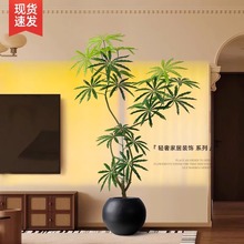 ����Gֲ��ȸľ�҃����Դ����p�ݷ�����ֲ��͏d�b�Ʒ��ؔ[��