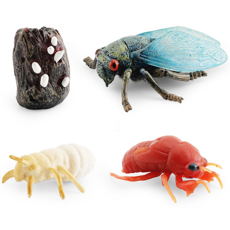 Transfronteriza simulación mini traje de insectos saltamontes abeja Araña ciclo de crecimiento etapa de vida cognitiva modelo de juguete