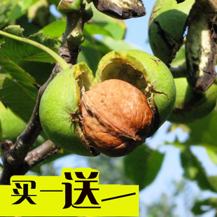 ������޽Ӻ��Ҙ��籡Ƥ���Ե��Ԯ���ӹ��Ϸ������NֲͥԺ������