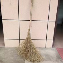 5�������S��ֱ��������F�z�濾��֦��֦��ƷͥԺ�WУ�R·������