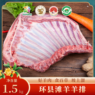 �h�h���r�F������3��4��5�������ſ��ŹǸ����Ź�