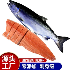 海参;鱼类;贝类