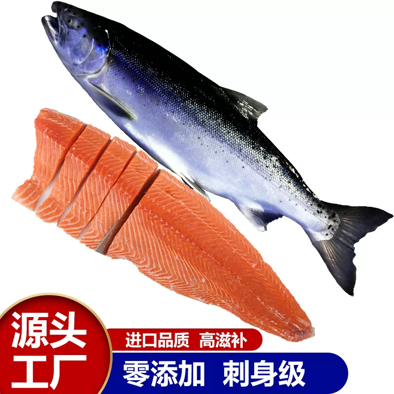 三文鱼整条去内脏排中段挪威进口大西洋鲑轮切三文鱼扒原装整切新