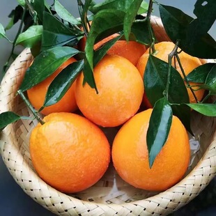 ���ں������w����Ě�����r����ˮ������������ȳ�����