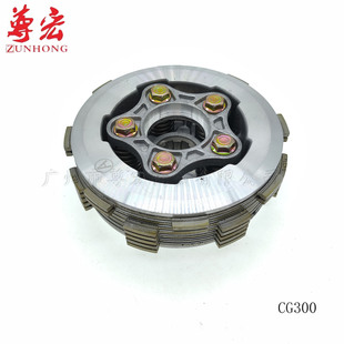 �m���Ħ��܇ CG300  CG250�x����