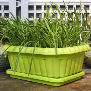 �L���ηN�����̨��ͥ���~�²˸������߲����ϻ�����Ñ��⻨���