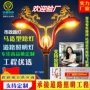 双头道路造型特色高杆灯