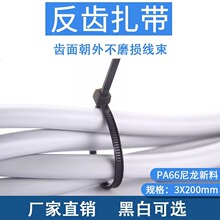 ���Ƿ��X���� 3*200 �����̶����� 늾������������������S��ֱ�N