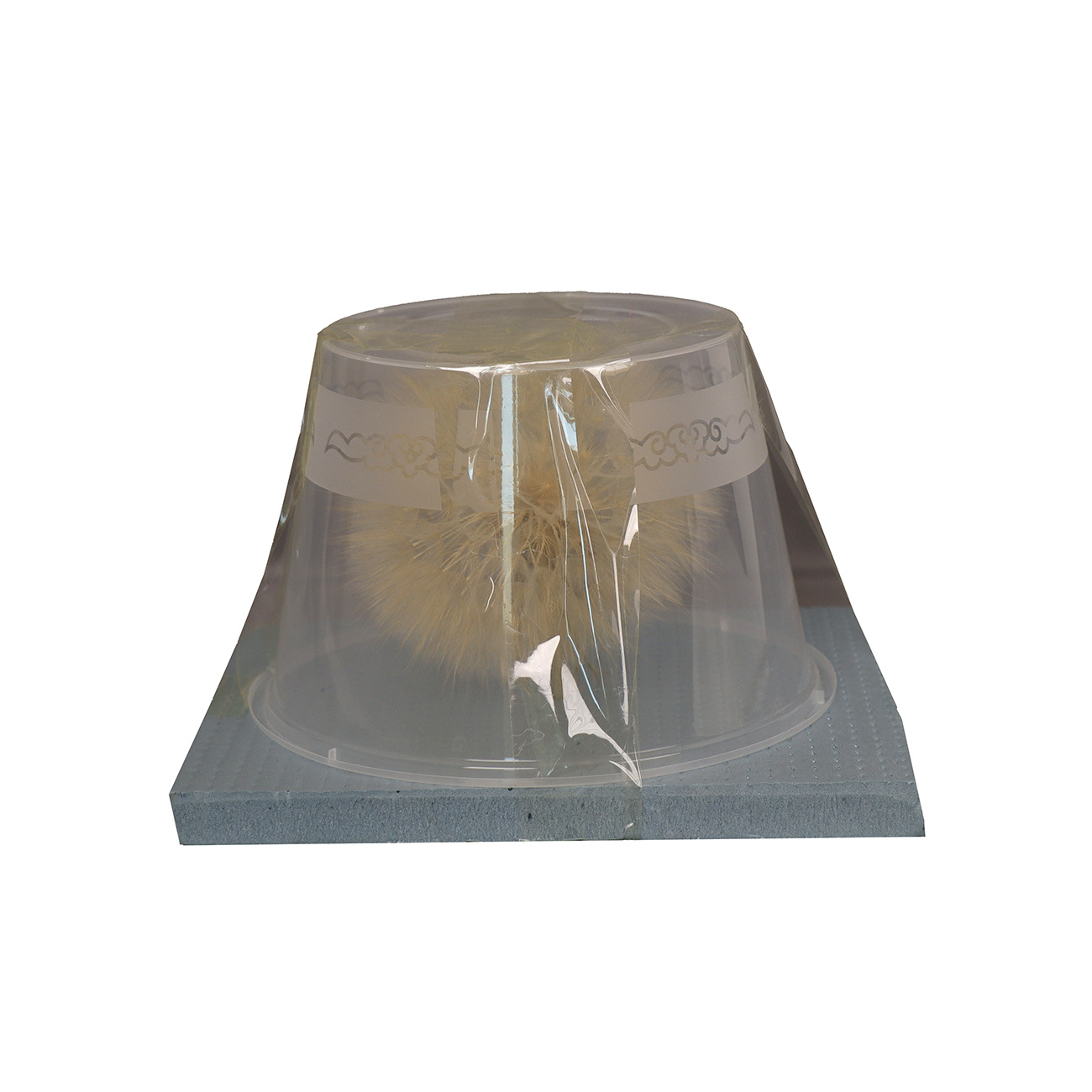 Diente de león flor eterna bien conservado creativo decorativo neto rojo flor seca material de bricolaje