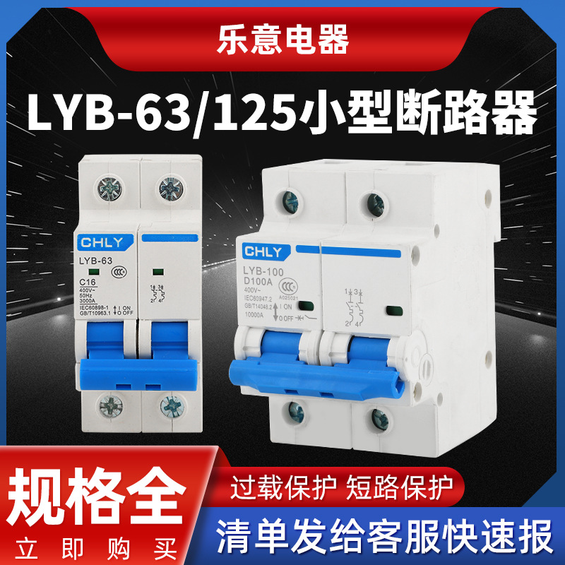 原厂供应 小型开关断路器 漏电保护开关小型断路器-LYB-63100