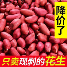 �����o�����t�¼tƤ�������׽��خa�������r���׼t��؛����ϵ��