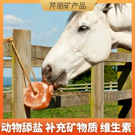 小夜灯;装饰台灯;其他非金属