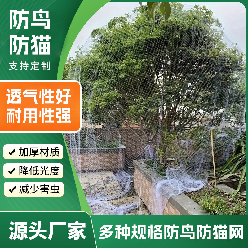 跨境花园鸟网防鸟网葡萄防鸟保护网家禽围网防猫坠网透明驱鸟网格