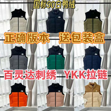 ����1996���޷�����700���ɱ��ҷ�ˮ����TNF������Ů���±�ů����