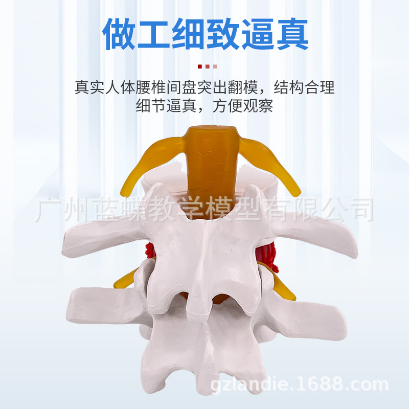 ��׵�Ŵ���׵������ѹ��ʾģ�����弹����׵�ǲ�����ʾ�ؽ�ҽѧ��