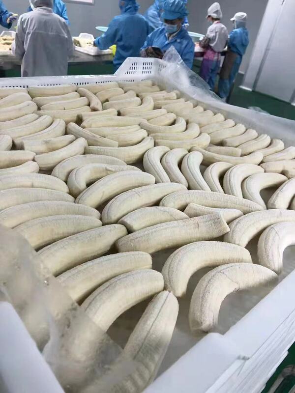 急凍果物源工場輸出多規格冷凍マンゴー冷凍果物ブルーベリーいちごパイナップル蜜バナナ|undefined