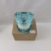M3002 ceramic bracket exercise tooth model
