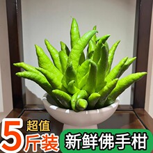 �Fժ���r���ָ��㙴�r������^�pˮ���o֦���幩��ʳ��ˮ���[��