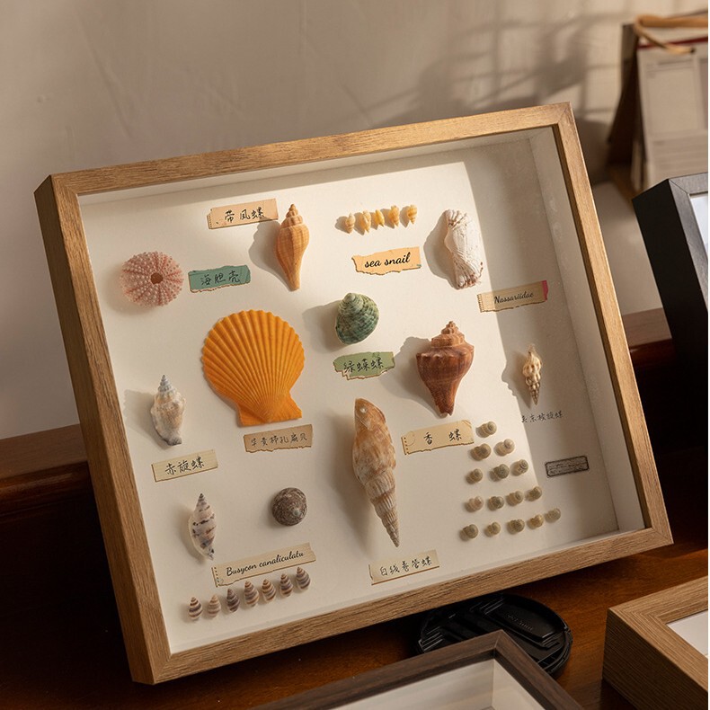 Dried Flower Photo Frame Handmade DIY Shell Plant Specimen Stereo Hollow Picture Frame Rose Flower Collection Photo Frame Decorative Frame